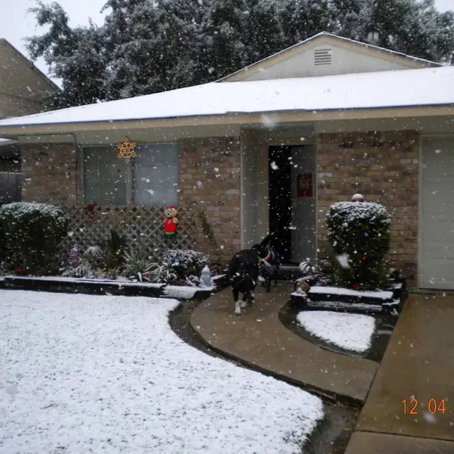 Does it Snow in Houston