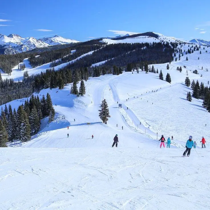 Best ski resort in california