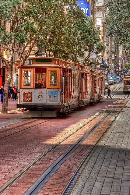 the best souvenirs to buy in San Francisco