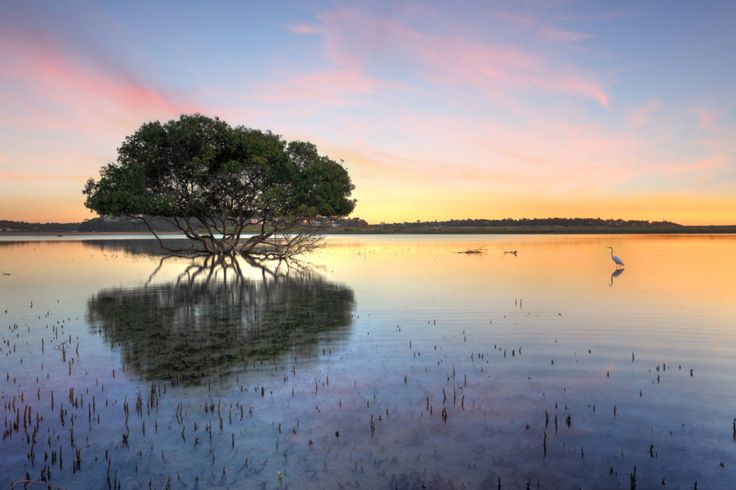 15 of the best Lakes in Florida that You Need to Visit This Summer