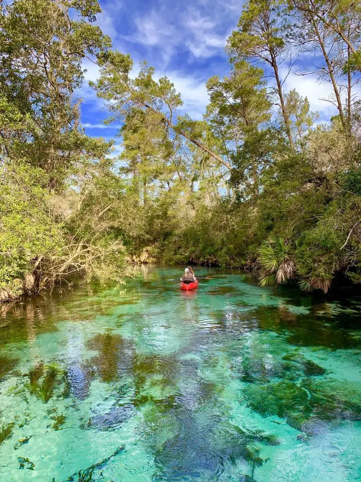 5 Natural Springs Near Orlando