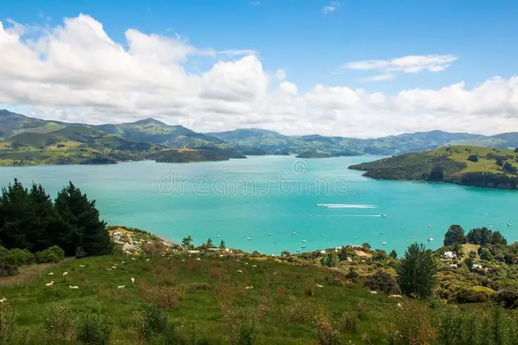 The Best Things To Do In Akaroa While Staying On A Budget