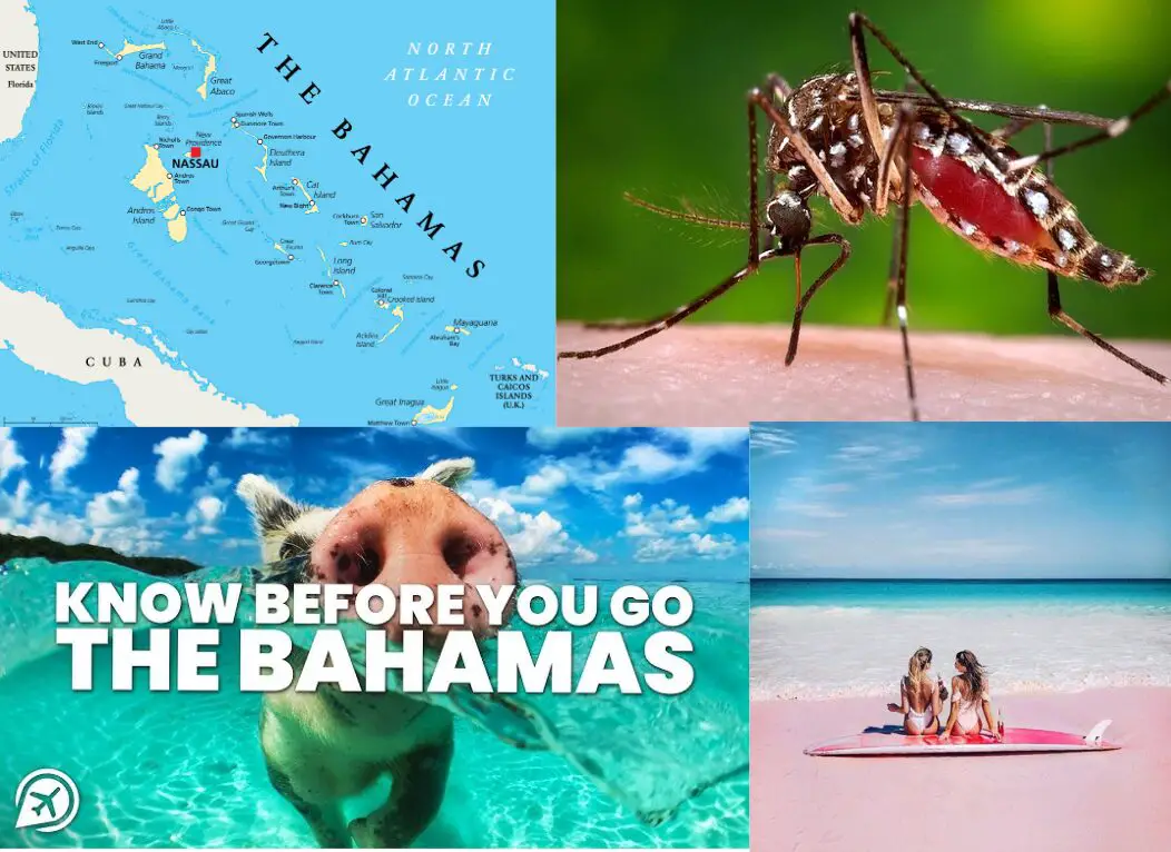 Mosquito defense by the ocean breeze