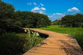 Step into Serenity – Visit Beddagana Wetland Park Today!
