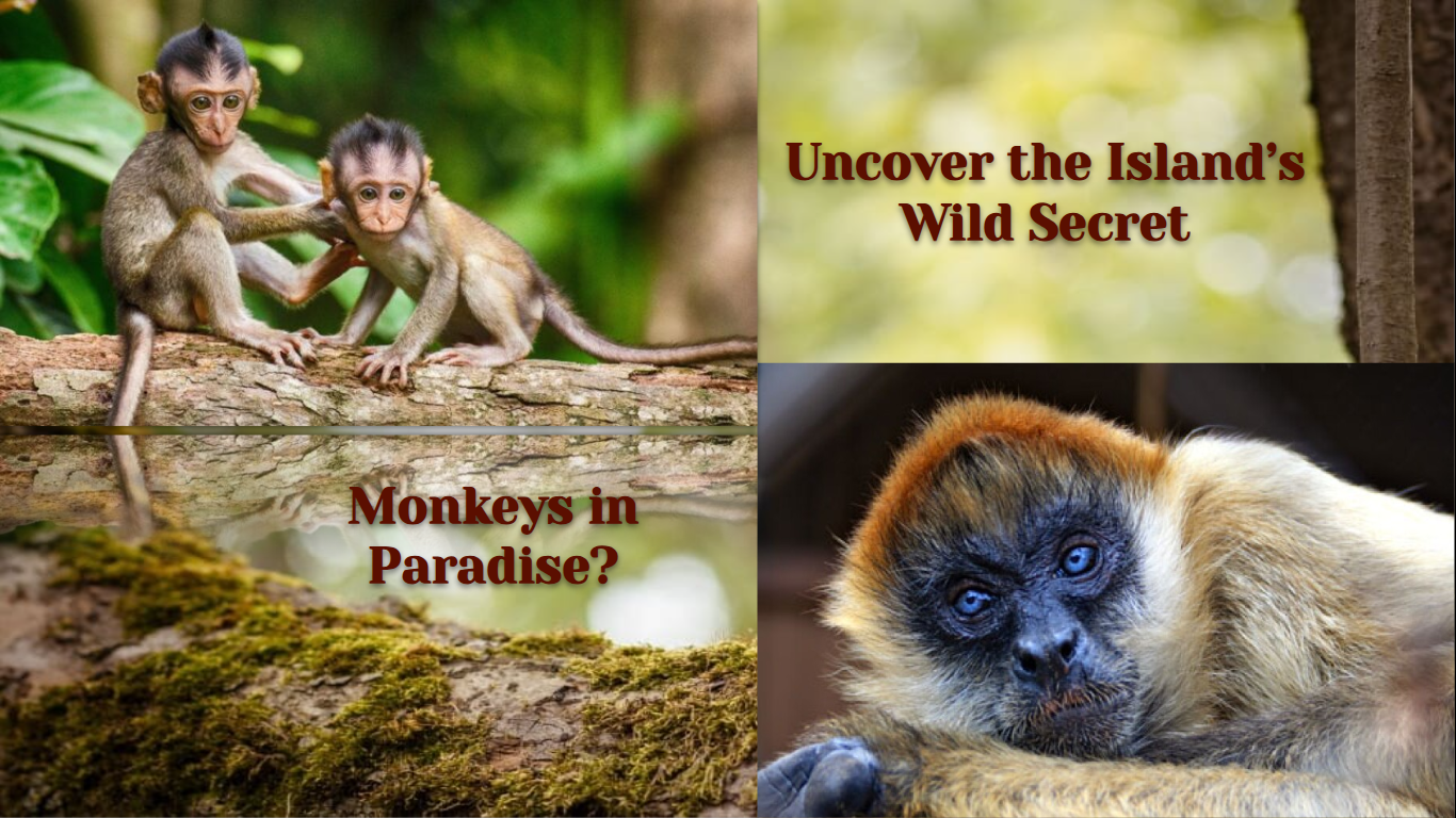 The Monkey Dilemma: Are There Monkeys in Hawaii?