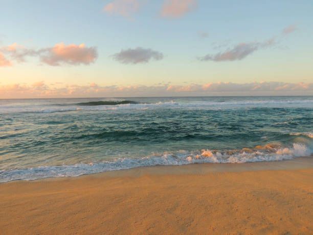 Oahu Escapades: 5 Stunning Beaches to Soak Up the Sun