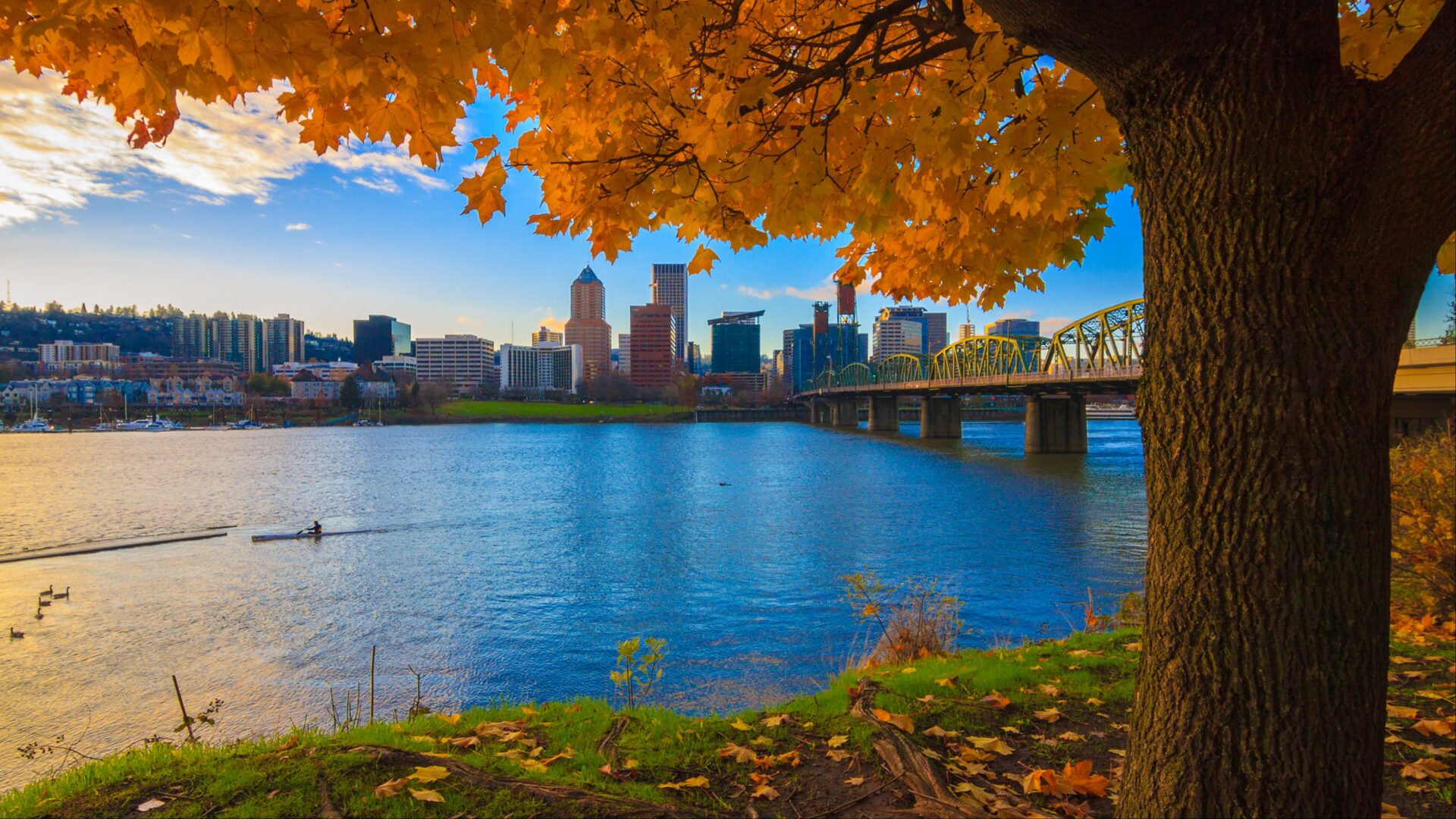 Ready to Explore Portland? Here are 25+ Unmissable Things to Do (+5 to Beware Of)