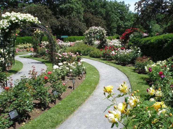 Navigating the Blooms: Notable Features of the Portland Rose Garden