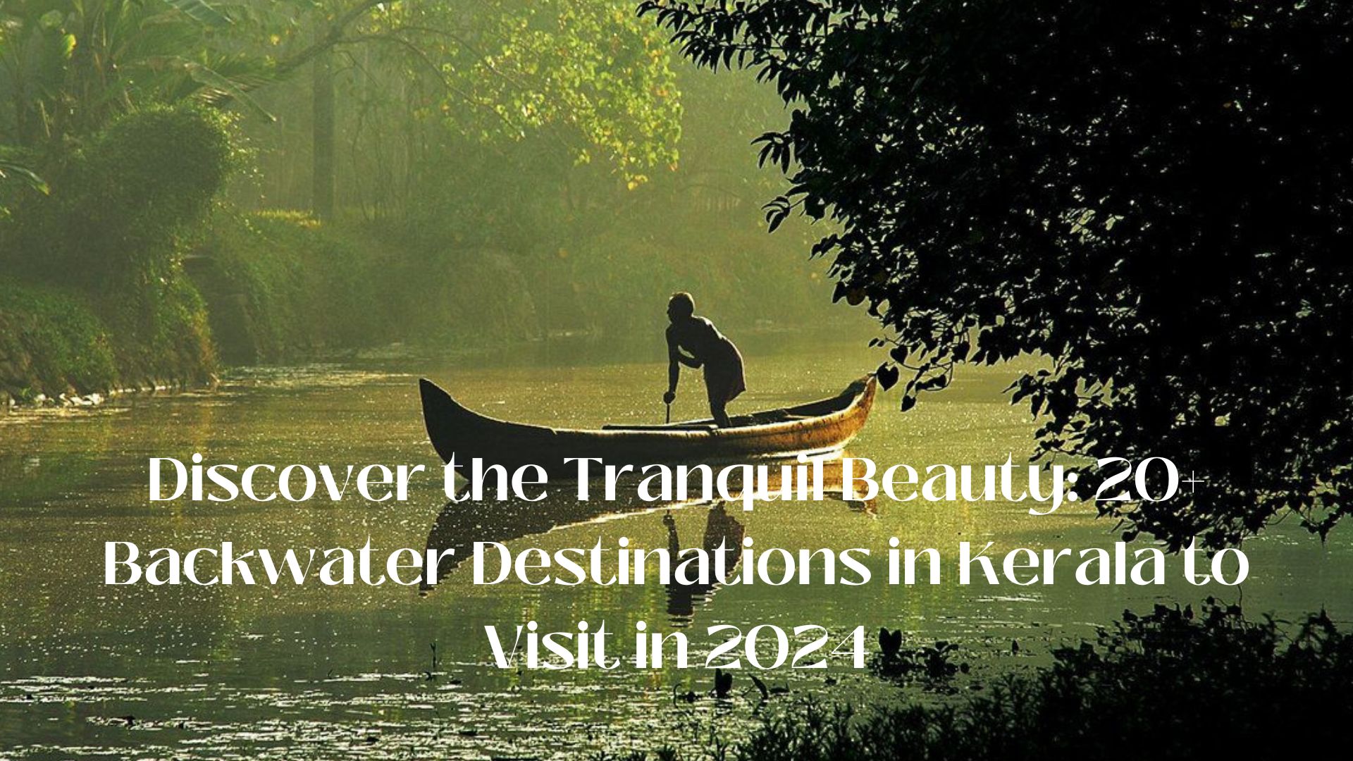 Discover the Tranquil Beauty: 20+ Backwater Destinations in Kerala to Visit in 2024