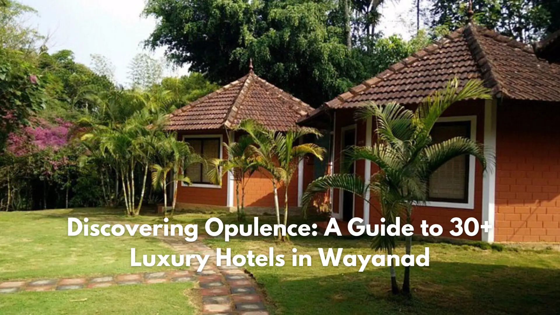 Discovering Opulence: A Guide to 30+ Luxury Hotels in Wayanad