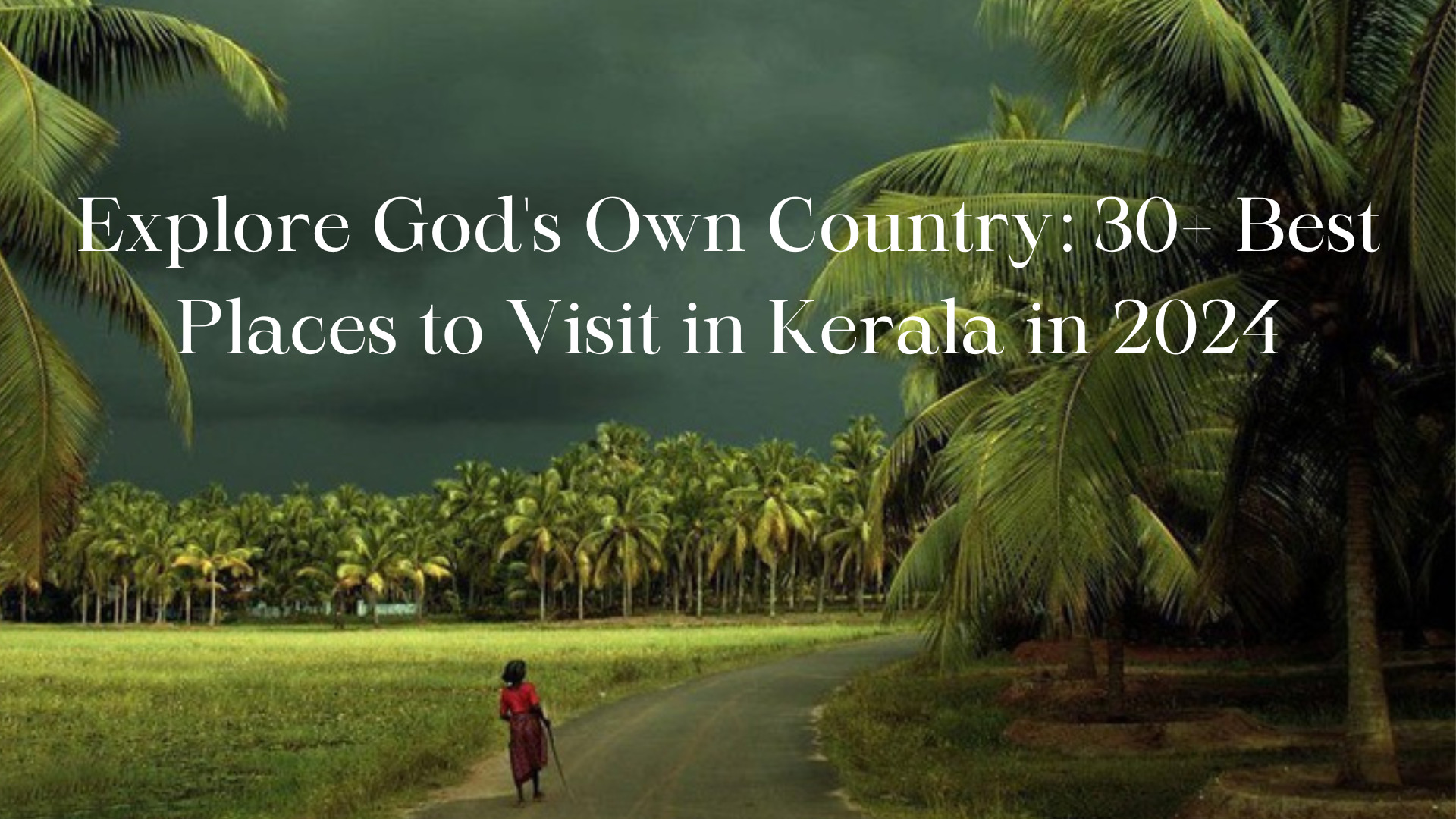 Explore God’s Own Country: 30+ Best Places to Visit in Kerala in 2024