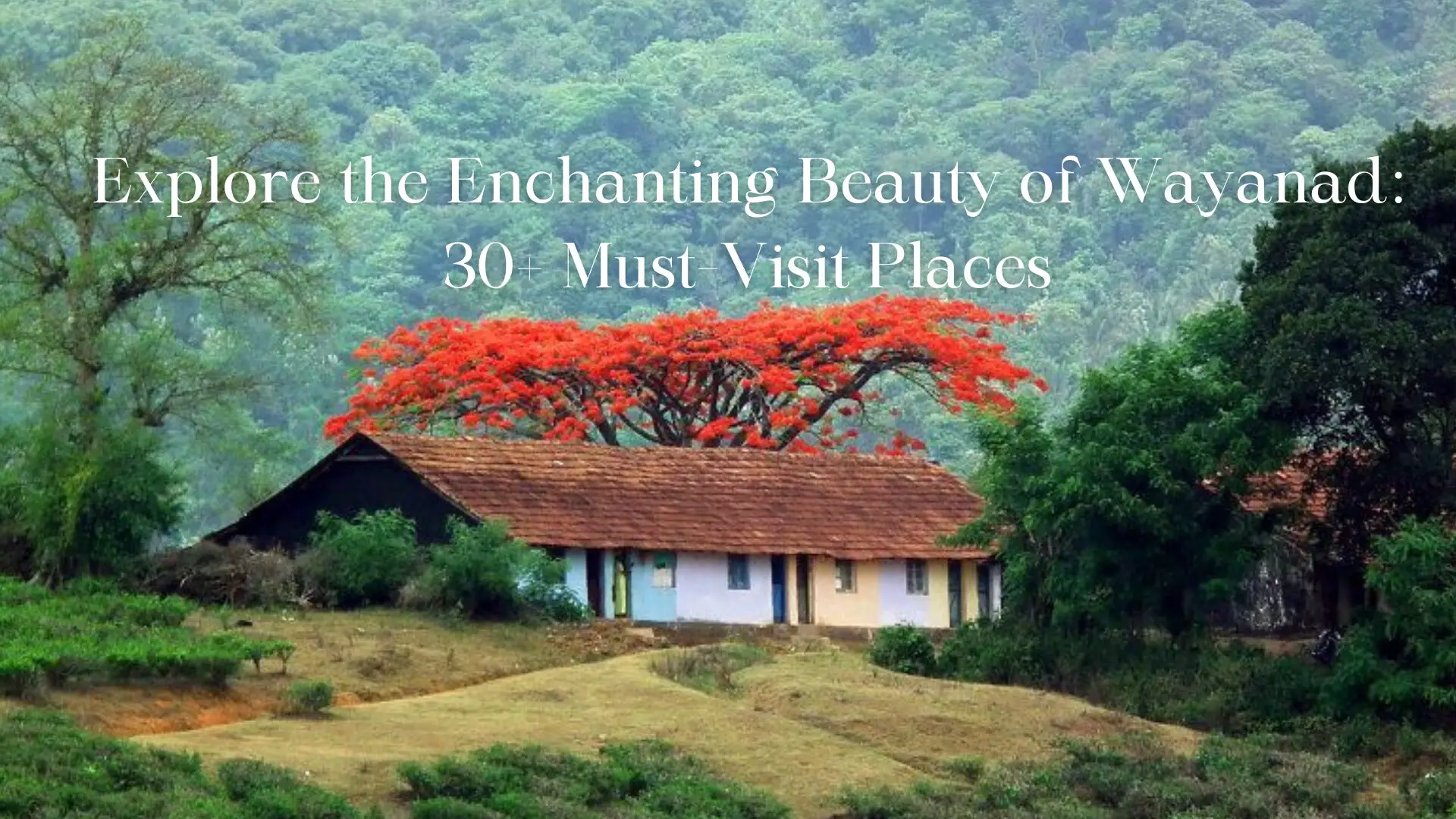 Explore the Enchanting Beauty of Wayanad: 30+ Must-Visit Places
