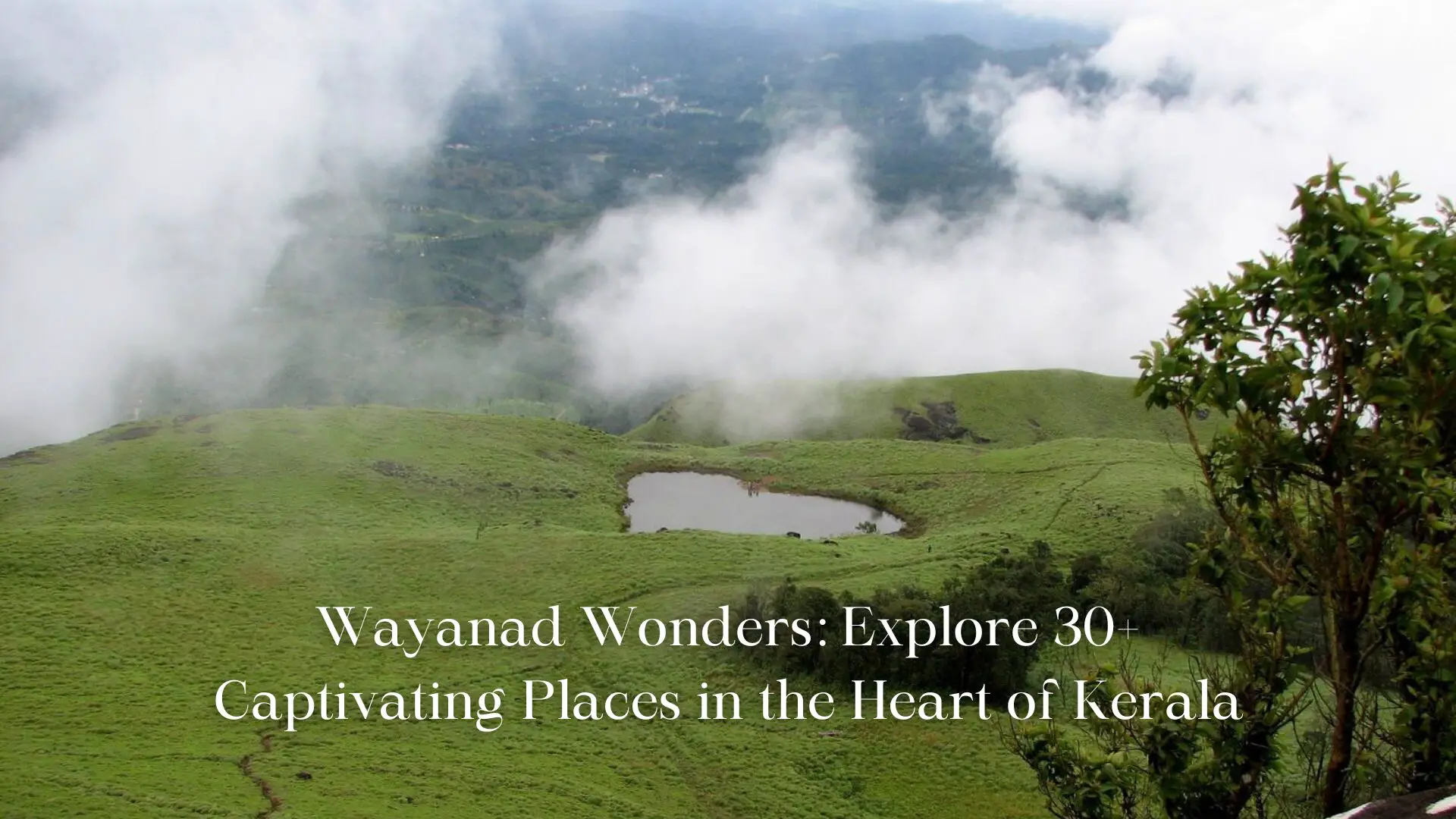 Wayanad Wonders: Explore 30+ Captivating Places in the Heart of Kerala