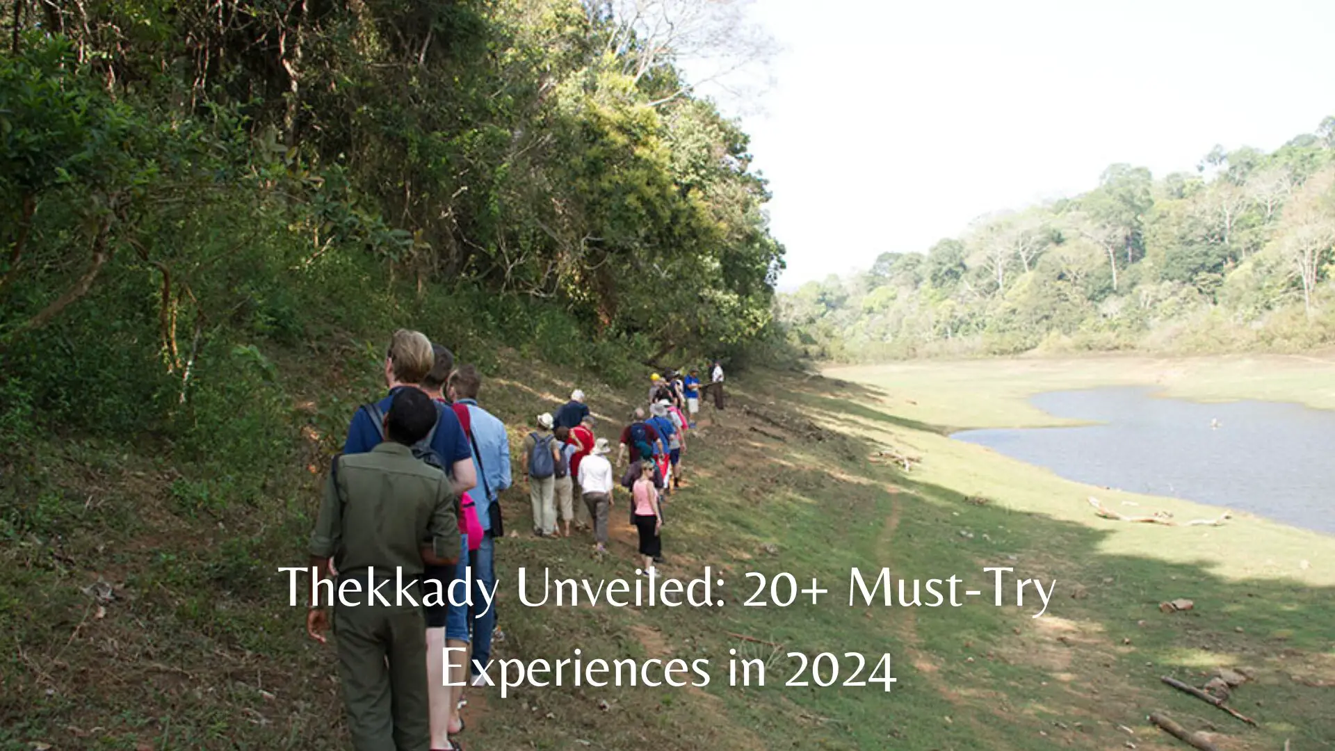 Thekkady Unveiled: 20+ Must-Try Experiences in 2024